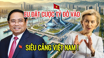 ⚡CHÍNH THỨC: EU RÓT TỶ ĐÔ XÂY SIÊU CẢNG CẦN GIỜ – VIỆT NAM BƯỚC LÊN HÀNG ĐẦU THẾ GIỚI? 🚢🌏