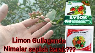 : #limon Gullaganda nima purkash kerak arzan va samarali ... ,   ....