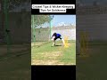 Cricket Tips &amp; Wicket-Keeping Tips for Quickness.