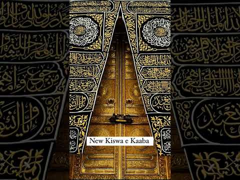 Kabe Ki Raunak Macca Madina Shorts