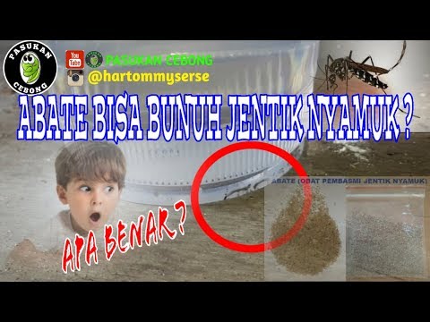 Musim hujan musim nyamuk otomatis kasus dbd meningkat , foging bukan cara terbaik untuk membasmi nya. 