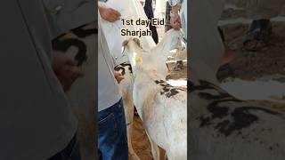 1st day Eid#dubailfe #travel #travel #subscribe 🇦🇪