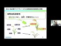 「きのこ抽出物ライブラリーからの植物成長調節物質の単離」　鳥取大学　農学部　生命環境農学科　教授　石原 亨