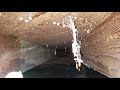 Dealing with water damage and termites, House renovation update