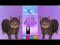 OIIA OIIA CAT Spinning Cat Magic Tiles 3