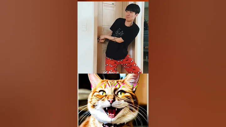 Wait for twist 🤣😁 #shorts #cat #dance #funny #memes