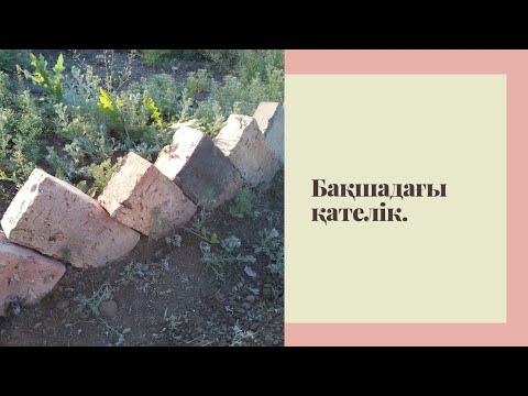 Бейне: Бақшадағы қателіктер