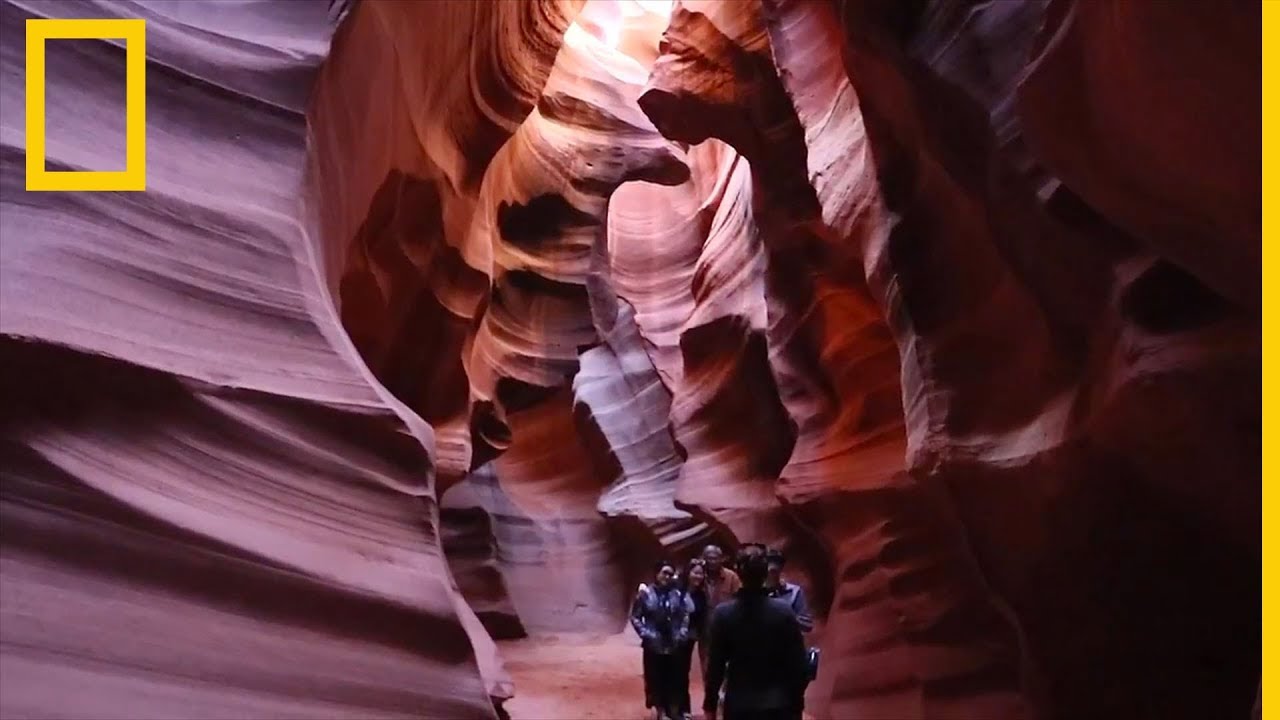 Explora los paisajes desérticos del Suroeste estadounidense | National Geographic en Español nat geo wild chaine bouygues