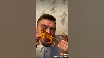Китаец тупой сделал настоящую саблезубого тигра
