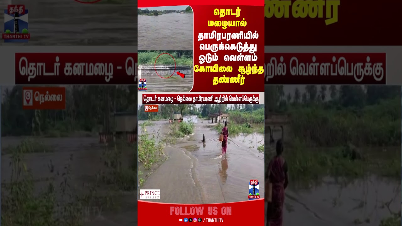 thirunelveli || thamirabarani   || heavyrain  || flood || thanthitv
