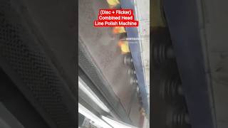 Line Polish Machine with Combined Head ( Disc + Flicker ) Head