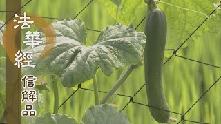 【靜思妙蓮華】法華經信解品 - 方便智力 降伏虛妄 - 20210611 第852集