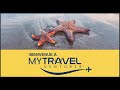 Prsentation mytravelventure 1804