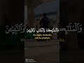 قرآن راحة نفسية ريلز اسلام تصميمي