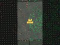 村人が村人ゾンビになるまでを検証してみた結果!?【マイクラ】 #マイクラ #マインクラフト#minecraft