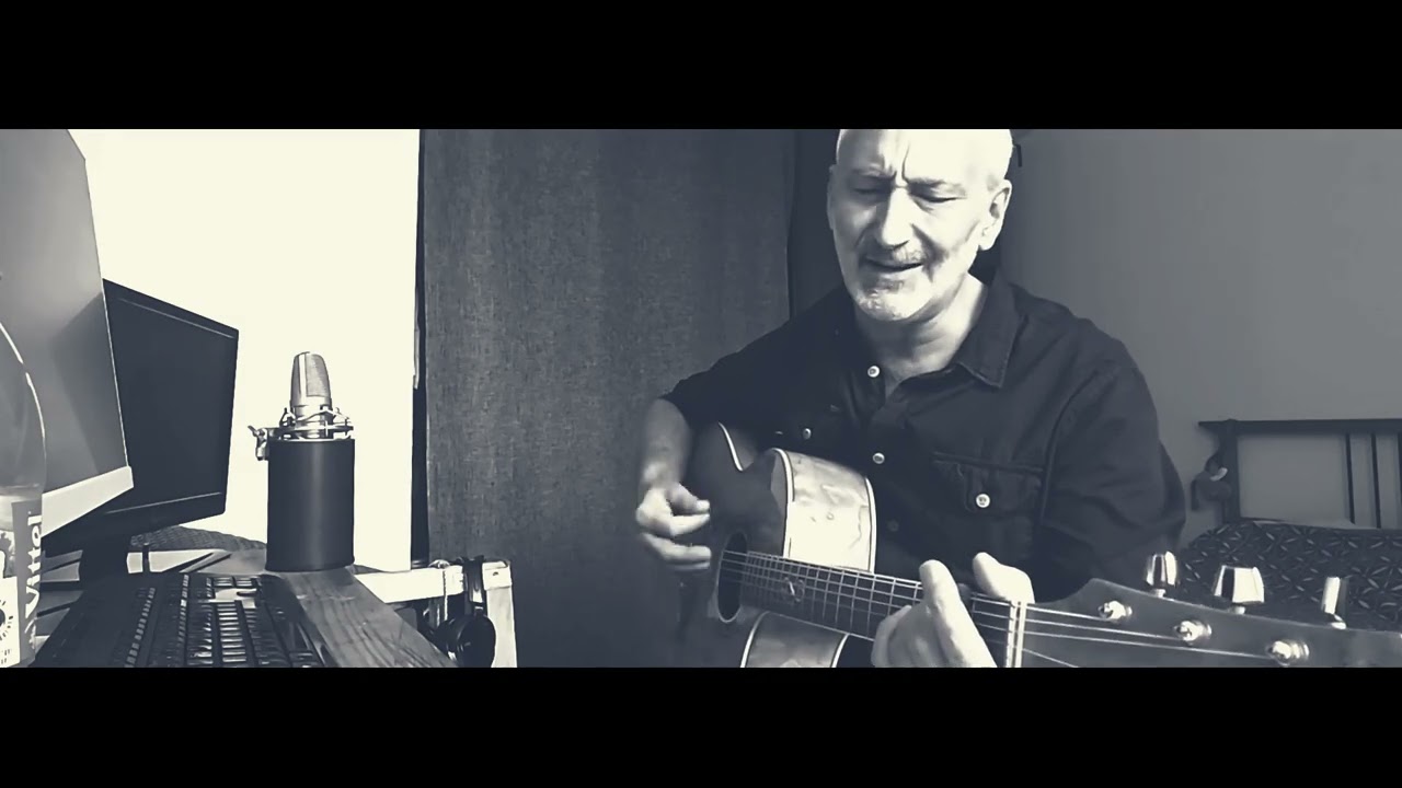 Fink - Sort of révolution - cover by me