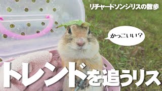 リチャードソンジリス リスのヘッドアクセサリー22版 92 Youtube