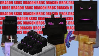 DRAGON BROS - Hermitcraft Season 6