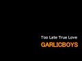 「歌いたい歌は」GARLIC BOYS/Too Late True Love