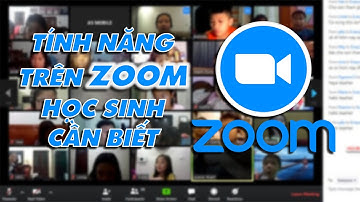 Những Tính Năng Trên Zoom Mà Các Em Học Sinh Cần Biết Để Học Hiểu Quả Hơn  | LH ngay : 0909.436.257