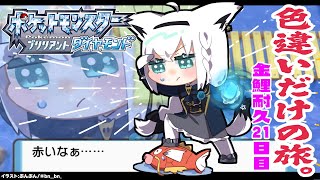 【ポケモンBDSP】色違い旅パ/金コイ耐久21日目【ホロライブ/白上フブキ】