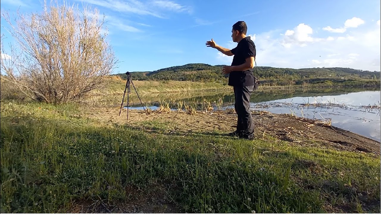 Наблюдение за птицами | В поисках новых видов...