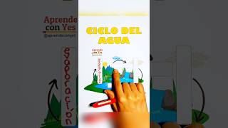 Ciclo Del Agua