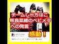BABYMETAL「チームしゃちほこ咲良菜緒 ベビメタちゃんは日本の誇り」ベビメタ感動仰天!