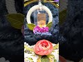 ginni platter #ginni #trending