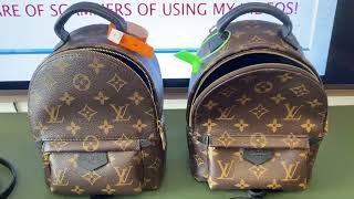A thorough comparison for Palm Springs mini backpack