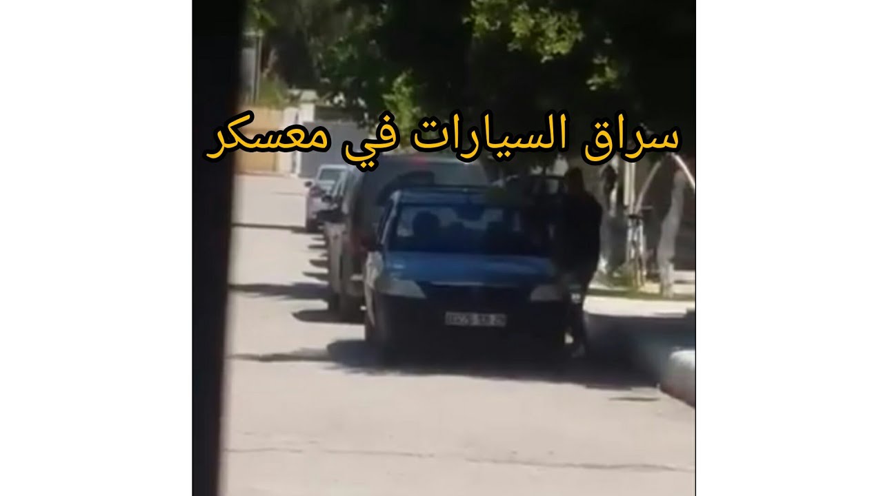 🔴Urgent!! Un voleur à barigou 300 logements wilaya de mascara 😱😱