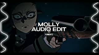 molly  guitar remix    playboi carti edit audio