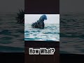 How Godzilla Meets A Human Do