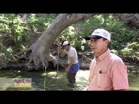 Bacterial Source Tracking in the Lampasas and Leon Rivers watersheds ...