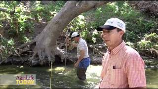 Bacterial Source Tracking in the Lampasas and Leon Rivers watersheds