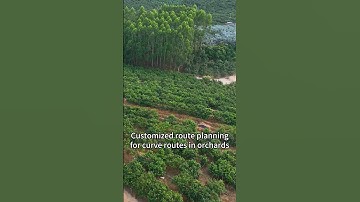 Topxgun Orchard Mode in Action! Topxgun Agricultural Drone for Fruit Tree Spraying