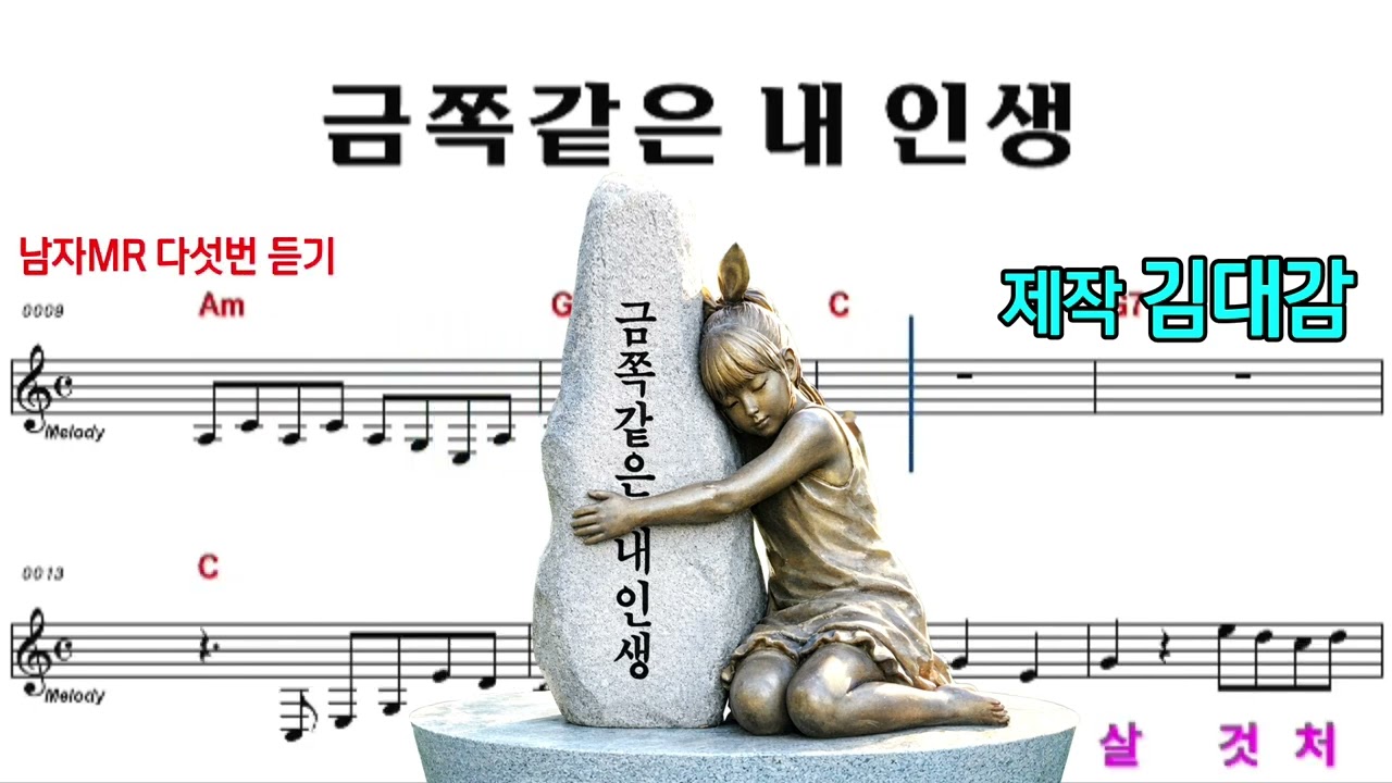 금쪽같은 내인생ㅣ가수 정주리 노래 💙 MR남키(영상제작 김대감)