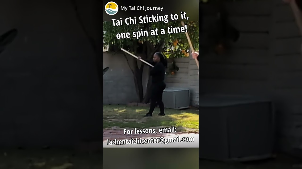 Tai Chi Stick
