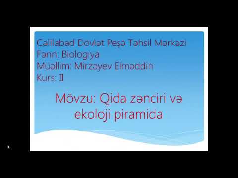 Video: Təbiətdəki Qida Zəncirləri Nədir