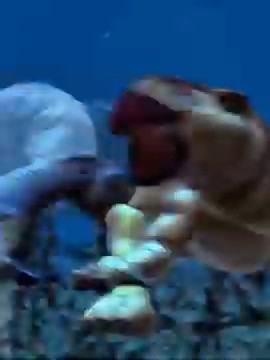 WOBBLY WIGGLY HEUGHHHHH 🗣️🗣️🔥🔥 #dinosaurs #pong1977 #memes #viral