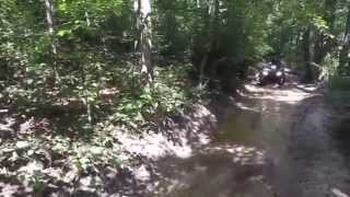 Wayne National Forest: Featuring Deer Stand Loop 7-24  1080p 60FPS