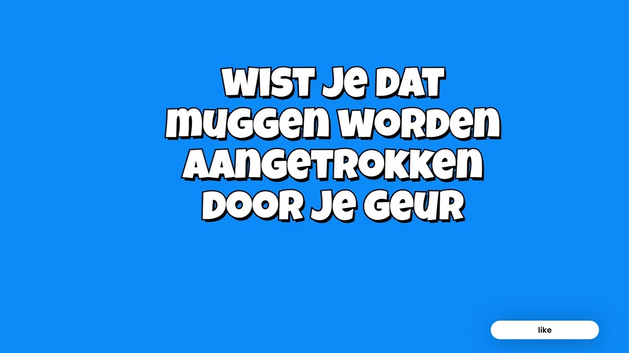 20 leuke weetjes deel `1