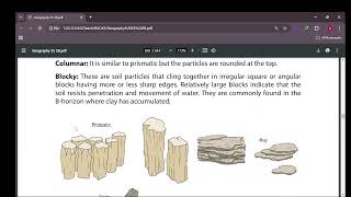 S5 GEO. UNIT 7 SOILS