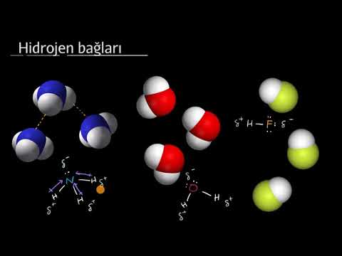 Hidrojen Bağı (Kimya)