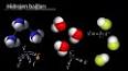 Kimyada Hidrojen Bağları ile ilgili video