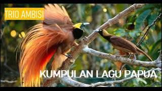 Trio Ambisi | Tembang Papua
