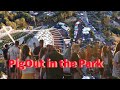 PigOut in the Park
