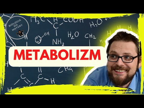 Wideo: Dlaczego ATP jest ważną cząsteczką w metabolizmie?