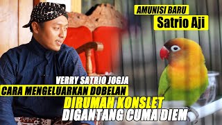 Cara Mengeluarkan Dobelan Lovebird & Cara Setting Lovebird Konslet Jalan Lapangan Verry Satrio Jogja