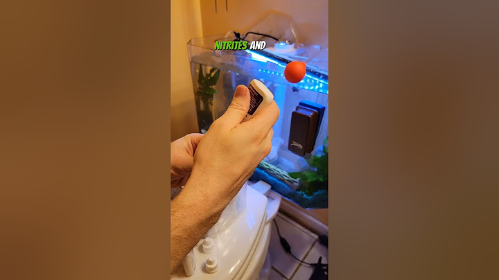 How I clean my toilet fish tank #aquarium #diy #cleantok #fishtank